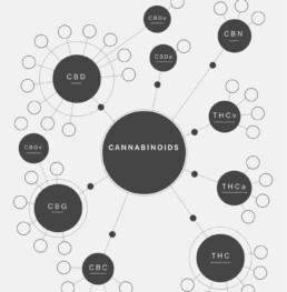 cannabinoïdes Huile CBD - Paris 16 - CBD ONE