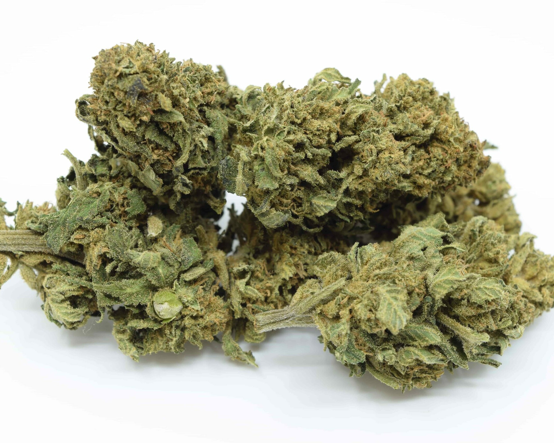 Fleurs CBD Amnesia - Paris 16 - CBD ONE
